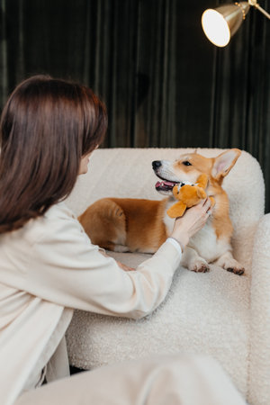 A cheerful corgi is happily enjoying playful moments and bonding with its loving owner in a stylish and cozy homeの写真素材