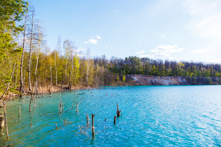A pixelated image depicting a serene lake with lush trees in the background, creating a tranquil and picturesque sceneの写真素材