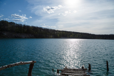 A significant and expansive body of water alongside trees that are located in the background, creating a serene natural landscapeの写真素材