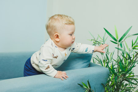 A cute baby with blonde hair explores a potted plant while balancing on a blue couch, showcasing curiosity and the joy of discoveryの写真素材