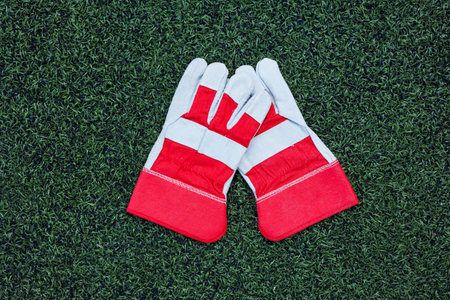 A vibrant pair of red and grey gardening gloves laid out on a fresh green turf, perfect for outdoor activities and garden maintenance. Ideal for protecting hands.の写真素材