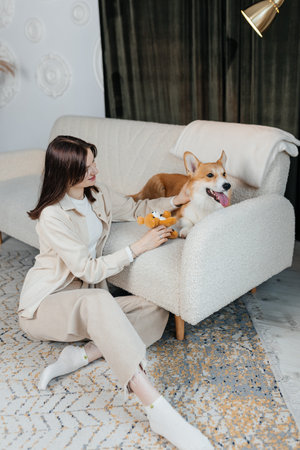 A cheerful woman is playfully interacting with her lively and adorable corgi on a cozy couch, creating a warm atmosphere that is filled with laughter, joy, and immense happinessの写真素材