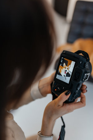A passionate photographer reviews heartwarming pet photos on the camera screen, capturing joyful...