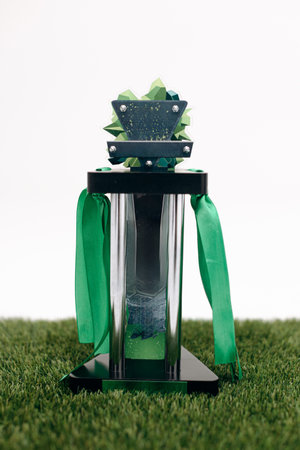 This beautifully crafted trophy, adorned with lush green elements and elegant ribbons, perfectly celebrates sports achievements and symbolizes victory and successの写真素材