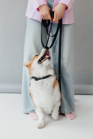 This is a delightful and joyful moment shared between a playful dog and its devoted owner,...