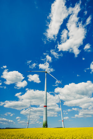 Wind energy generation using windmills. Electricity is produced by a wind turbine against a blue sky background. Energy production in a windy green area. Ecological energy productionの写真素材
