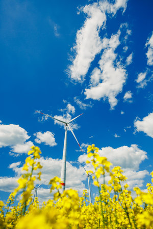A picturesque landscape features bright yellow flowers in the foreground and sleek wind turbines against a clear blue sky with fluffy clouds, creating a tranquil sceneの写真素材