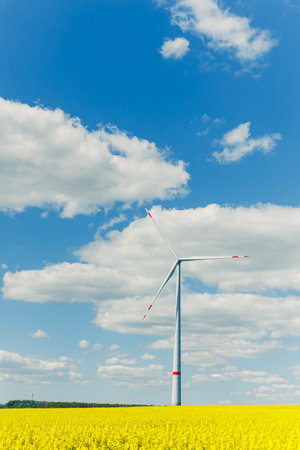 A stunning wind turbine rotates gracefully in a field of bright yellow flowers under a blue sky with fluffy clouds, symbolizing renewable energy and nature's beauty.の写真素材