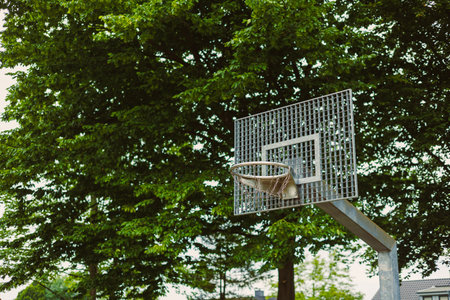 An outdoor basketball hoop stands proudly tall among the vibrant green trees, seamlessly blending the excitement of sports with the inviting tranquility of nature in a lively parkの写真素材
