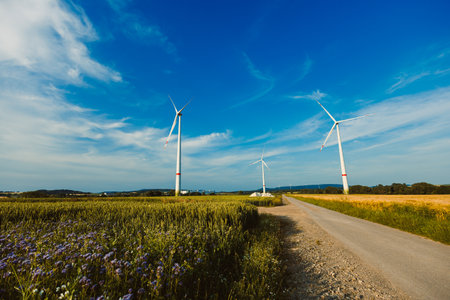 A tranquil scene showcasing wind turbines in a vibrant wildflower field, highlighting renewable energy and natural beauty against a clear skyの写真素材