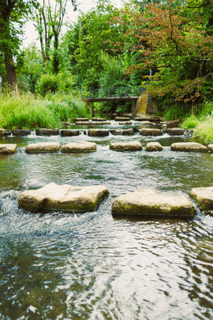 A peaceful scene featuring a gentle stream with natural stepping stones, framed by vibrant greenery...
