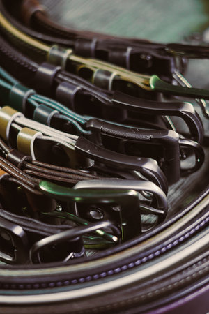 This collection features a variety of buckles and clips for outdoor gear and fashion, highlighting...