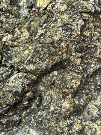 Sunlight casts warm tones on a rugged rock surface filled with intricate textures and natural...