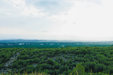 A sweeping vista captures the beauty of green trees blanketing rolling hills, with a moody sky hinting at a sunset in the background, creating a peaceful and serene atmosphere.の写真素材