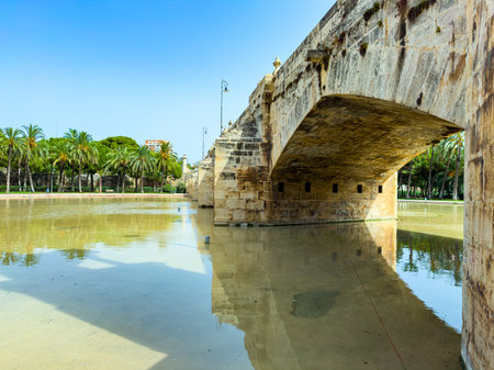 Visitors enjoy the beauty of an ancient stone bridge reflecting in the calm waters of a serene park in Valencia, surrounded by palm trees and vivid greenery.の写真素材