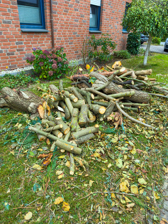 Branches and cut wood are stacked on the green grass outside a red brick building. Autumn leaves...