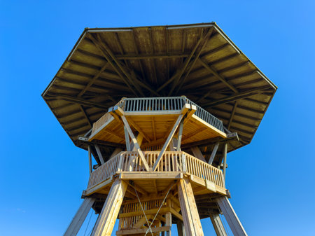 People gather around a stunning wooden observation tower, experiencing the beauty of nature under a bright blue sky. The structure offers panoramic views of the surrounding area.の写真素材