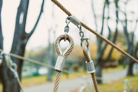 Rope equipment hangs in a park, showcasing metal hooks and strong cords. Autumn leaves create a colorful backdrop, adding warmth to the cool day as adventure seekers enjoy the space.の写真素材
