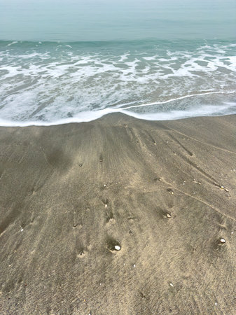 Gentle waves roll onto a sandy beach, leaving behind a smooth surface with small shells scattered. The scene captures the start of a quiet day by the sea.の写真素材