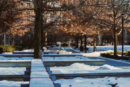 A park with snow on the ground and bare trees is seen in a city. The sun shines brightly, creating shadows on the snow. Benches line the pathway, and some trees have brown leaves.の写真素材