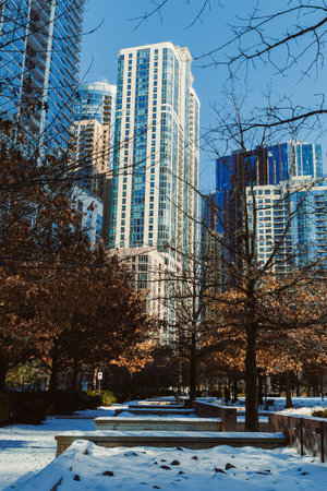 Tall buildings stand in a busy city with bare trees nearby. Snow covers parts of the ground. The sky is clear and blue, showing a bright winter day in the city.の写真素材