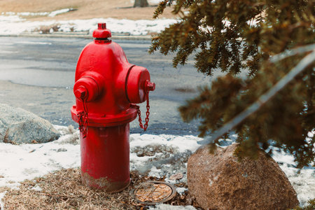 A bright red fire hydrant is positioned next to a tree and some rocks by the roadside. Snow is visible on the ground along with some dry grass, showing a glimpse of winter.の写真素材