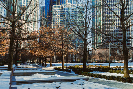 Snow blankets the ground in a city park with tall buildings in the background. Trees are bare, and the scene shows winter's arrival in an urban area.の写真素材