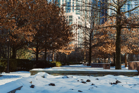 Snow lies on the ground in a city park while trees with brown leaves stand nearby. Tall buildings rise in the background under clear skies.の写真素材