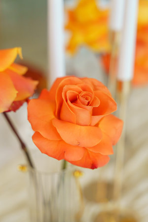 A single orange rose sits in a glass vase on a table. It is surrounded by other flowers, with light coming through the window. This scene shows a bright indoor space.の写真素材