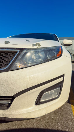 A white car is parked in a lot. The front part is visible with dirt marks on its surface. The sky is blue and clear. The car has headlights and a visible grill design.の写真素材
