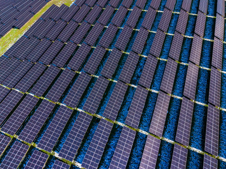 Rows of solar panels cover a wide space in a field. The sunlight shines directly down on the panels,...