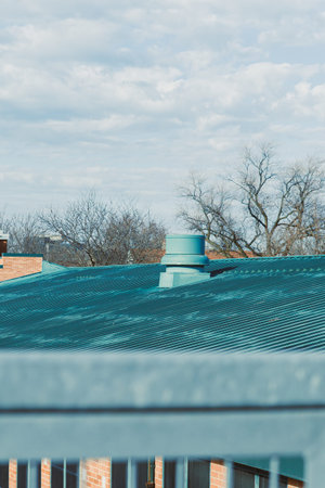 The scene shows a rooftop with a chimney. Trees without leaves are visible in the distance. The sky...
