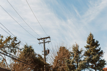 Power lines run above tall trees under a blue sky filled with clouds. The scene shows a typical...