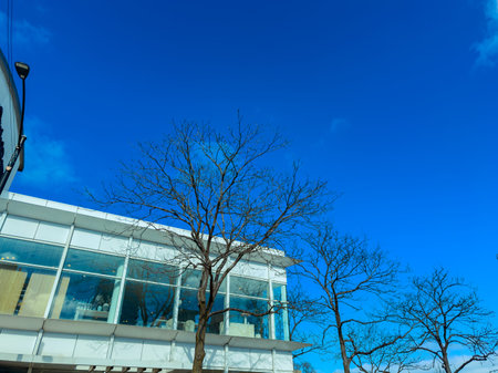 Branches of bare trees are seen against a bright blue sky. A modern building is present in the...
