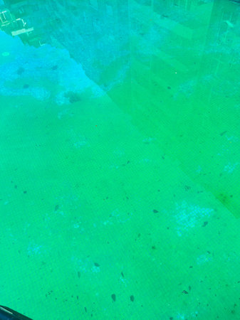 Clear water in a pool shows green shade. Debris and dirt can be seen floating on the surface....