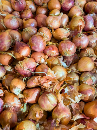 Shallots are gathered in a local market. The scene shows many shallots with their skins, piled together. This is a busy time for vendors and shoppers.の写真素材