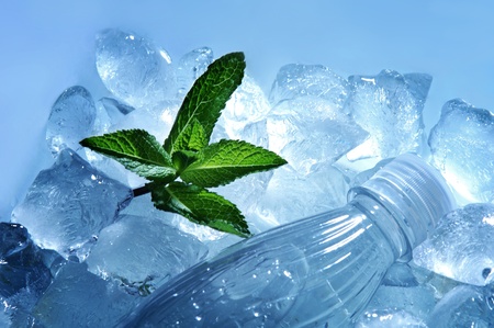 close up of plastic bottle of water and green mint leaves lying in ice cubesの写真素材