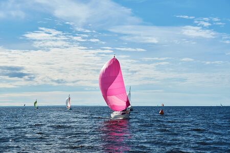 Yachting race. Sailing regatta. Yachts with pink spinnaker in the sea on sunny windy dayの写真素材