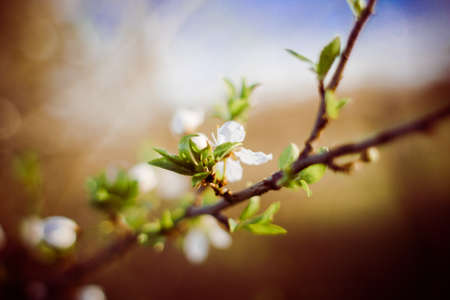 Are you prepared for spring?