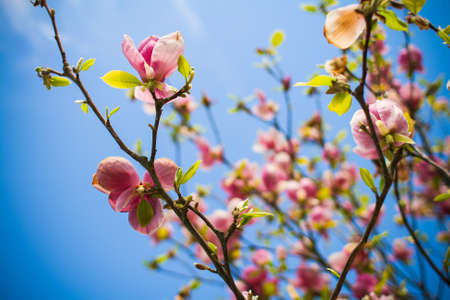 Spring is Here