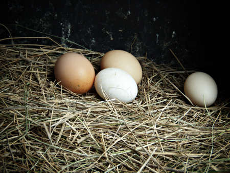 the quail eggs on old wooden table