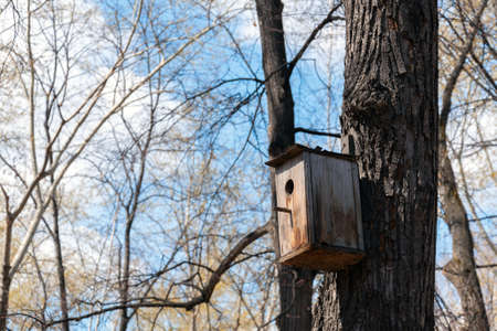 An old wooden birdhouse on a tree against a background of branches and blue skyの写真素材