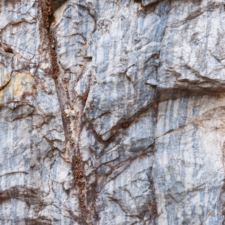 An old gray stone with blue stripes in the cracks, covered with fungus and mold.