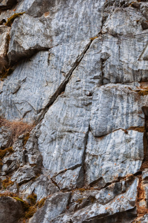 The background is made of old gray with blue stripes of rocky dirty stone, covered with brown moss and fungus and mold. For background or textureの写真素材