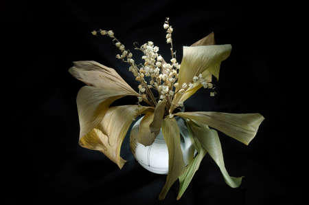 lilies of the valleyの写真素材