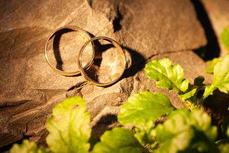 Wedding gold rings on a rockの写真素材