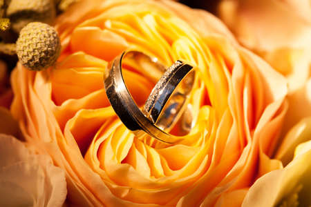 Wedding rings on the yellow roses. Buds. Petals.の写真素材