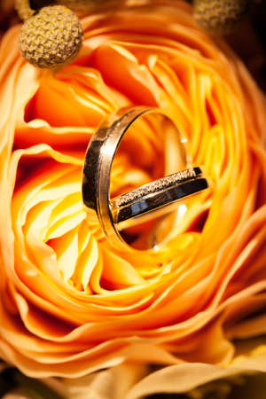 Wedding rings on the yellow roses. Buds. Petals.の写真素材