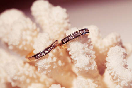 Wedding rings on a pink coralの写真素材