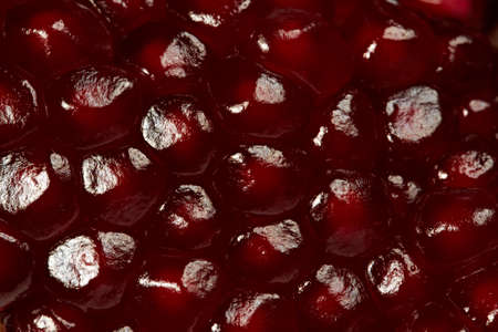 Pomegranate grain red  seedsの写真素材